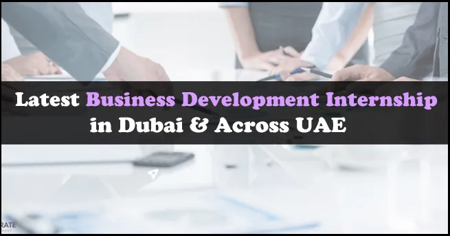 Business Development Internship