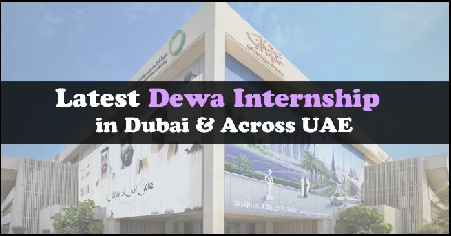 DEWA Internship