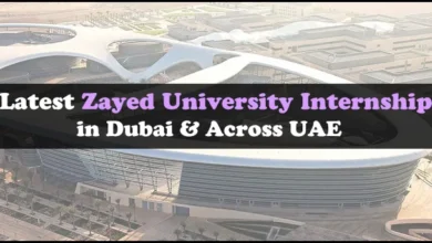Zayed University Internship